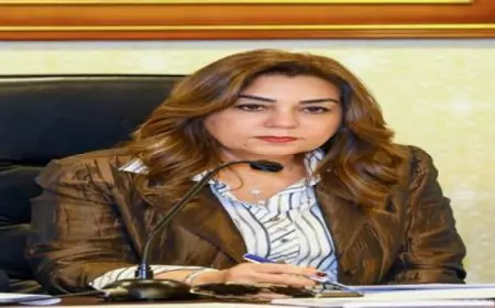 التنمية المحلية تكشف عن تطوير 2713 ساحة انتظار و238 سوقا رسميا في جميع المحافظات