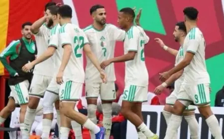 تعرف على القنوات التي ستنقل مباراة الجزائر وغينيا الاستوائية اليوم في كأس أمم إفريقيا