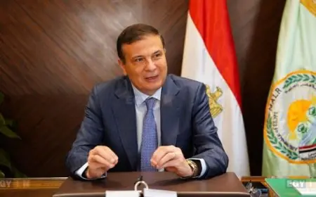 تهنئة وزير الزراعة للرئيس السيسي بمناسبة بدء العام الميلادي الجديد