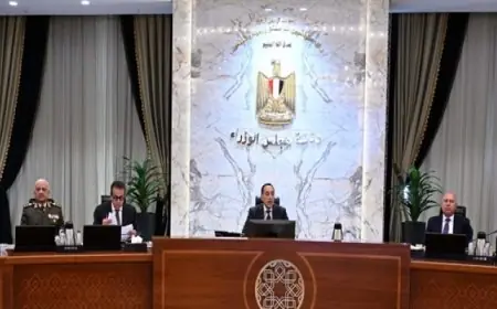 مدبولي يدعو لإنجاز مشروعات المرحلة الأولى من مبادرة حياة كريمة خلال ترؤسه مجلس الوزراء