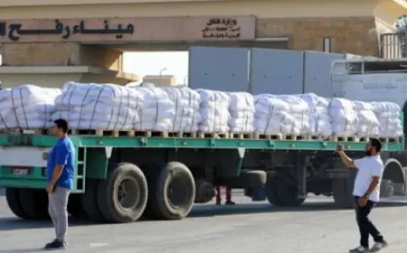 قافلة المساعدات زاد العزة 106 تصل غزة عبر معبر رفح لتعزيز الدعم الإنساني