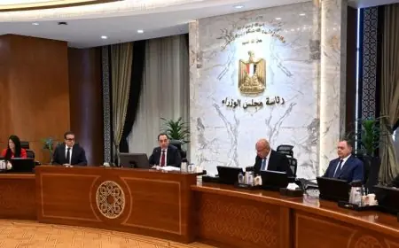 الحكومة تعتمد تعديل قرار إنشاء الهيئة العامة للرقابة على الصادرات والواردات لتعزيز الرقابة التجارية