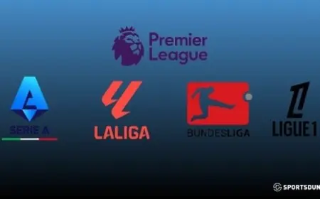 البريميرليغ يتصدر القيم السوقية للدوريات الأوروبية لعام 2025