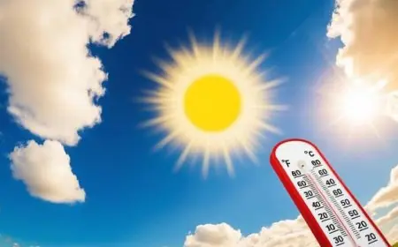 الأرصاد الجوية تحذر من طقس شديد البرودة صباحاً مع ارتفاع درجات الحرارة في النهار والصغرى بالقاهرة 12 درجة