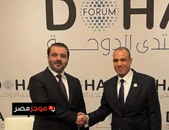 وزير الخارجية المصري يبرز أهمية دعم وحدة سوريا وسلامة أراضيها