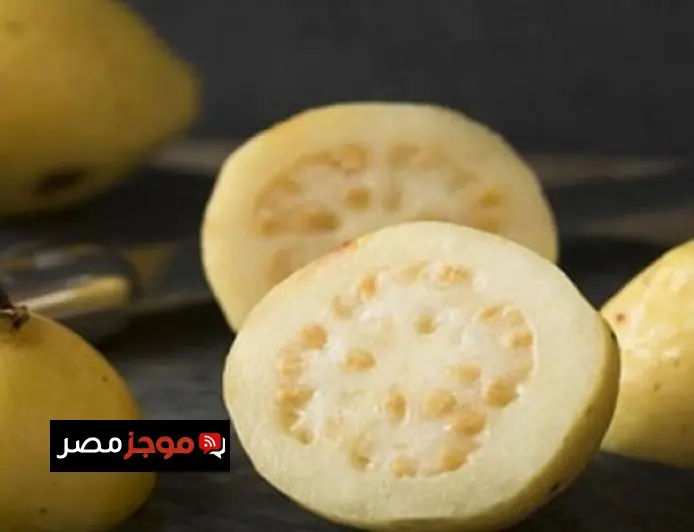 مؤشرات البورصة تسجل ارتفاعًا جماعيًا عند نهاية جلسة التداول