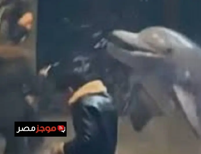 شاب يتعرض لمفاجأة غير متوقعة من حوت أبيض يطفئ سيجارته برش الماء عليه
