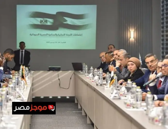 وزير الاستثمار يبرز دور اللجنة التجارية والصناعية المصرية السودانية في تعزيز التكامل الاقتصادي بين مصر والسودان