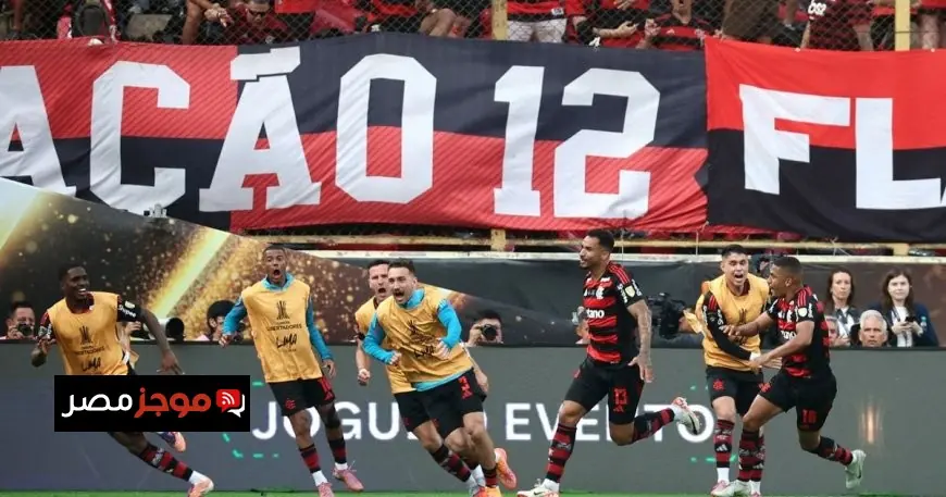 فلامنغو يحصد كأس ليبرتادوريس بعد هدف دانيلو في نهائي برازيلي مثير