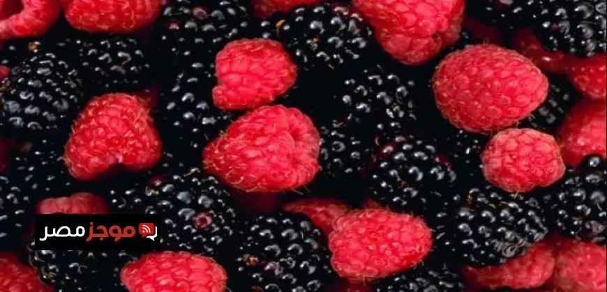 اكتشف 4 أنواع فاكهة أساسية يجب تناولها في الشتاء لصحة مثالية