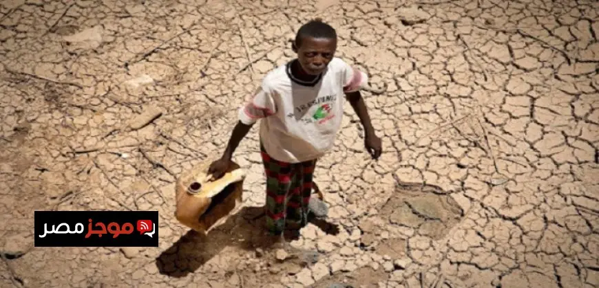 استقرار أسعار النفط مع انتظار نتائج محادثات السلام بين روسيا وأوكرانيا وقرارات أوبك+ المقبلة