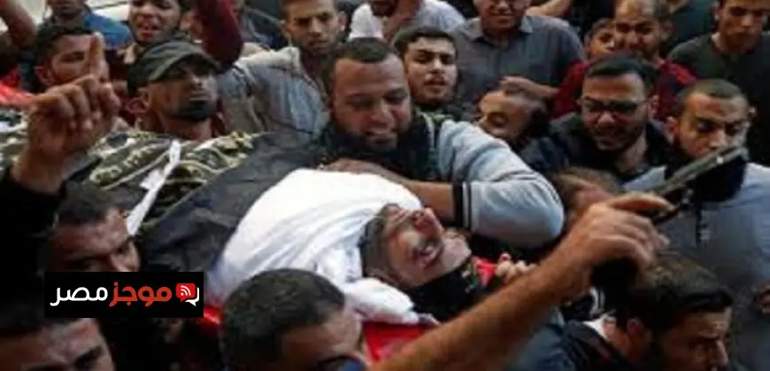 الأرصاد تعلن عن طقس معتدل نهاراً وبارد ليلاً وعظمى 25 درجة بالقاهرة غداً