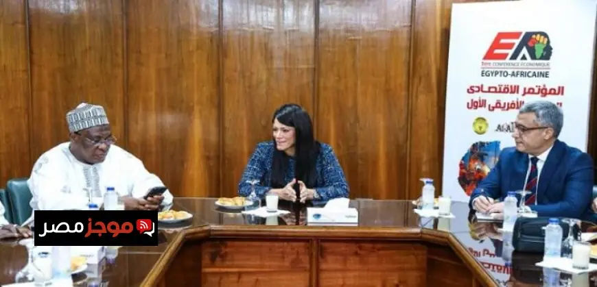 المشاط تؤكد لسفراء أفارقة أهمية العمل المشترك لمواجهة التحديات والصراعات في القارة