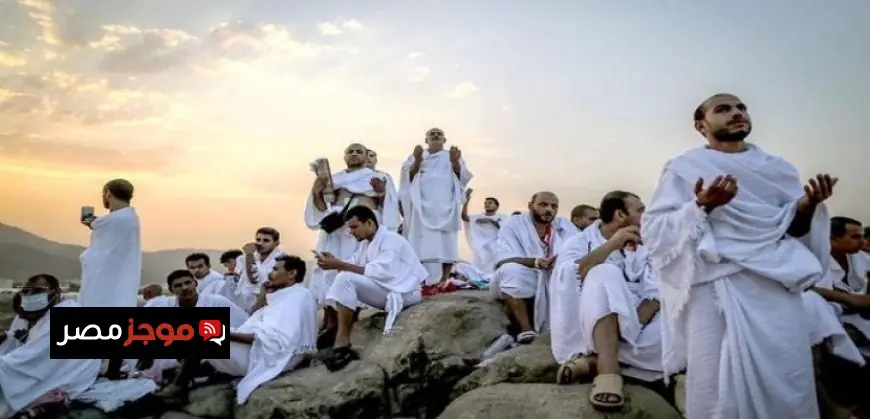 التضامن تطلق الخط الساخن 17673 للمساعدة في العمل الأهلي بشكل موحد