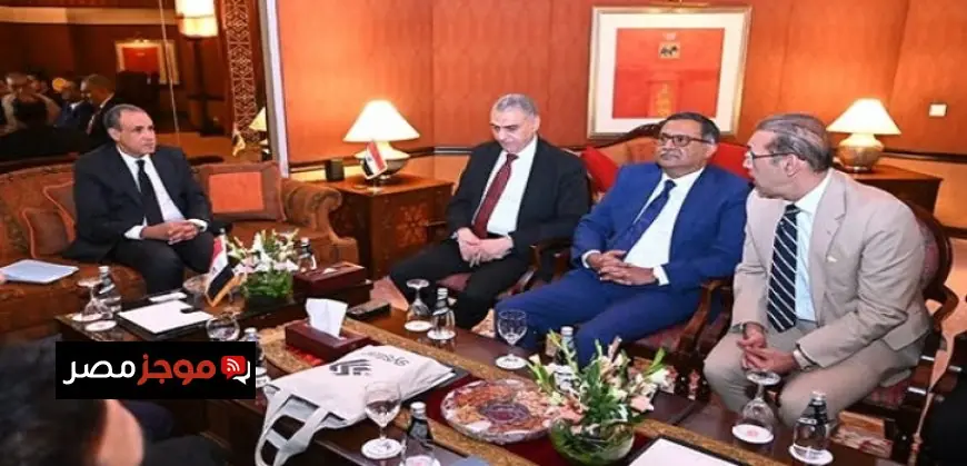 وزير الخارجية يحث الشركات الباكستانية على استثمار الفرص الواعدة في القطاعات المتنوعة بمصر
