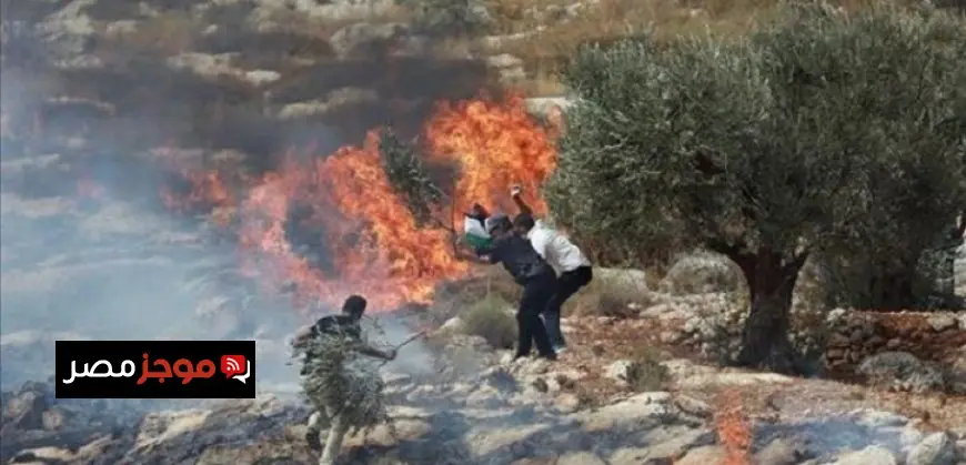مستوطنون يشعلون النيران في أراضي الفلسطينيين شمال غرب رام الله