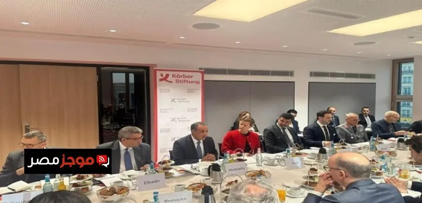 وزير الخارجية يدعو لتعاون دولي قوي لتحقيق السلام ووقف إطلاق النار في غزة