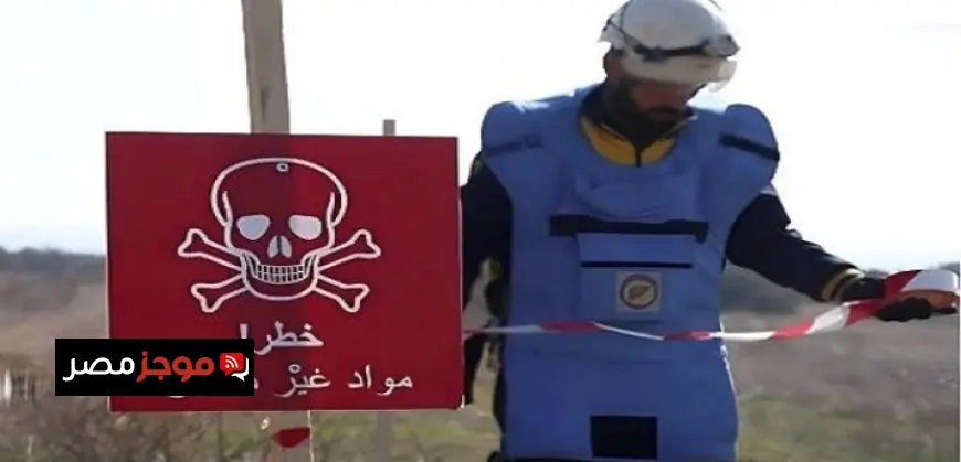 وزير التعليم العالي ووزير قطاع الأعمال يستعرضان مشروع إنشاء أول مدينة تعليمية جامعية متكاملة في دلتا مصر