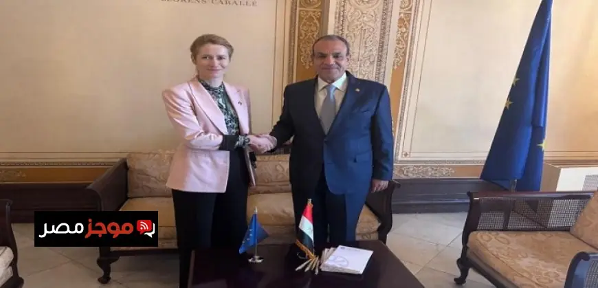 وزير الخارجية يعلن عن تعزيز الاستثمارات الألمانية في السوق المصري