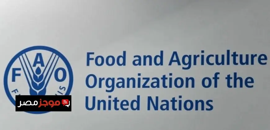 الفاو تكشف عن انخفاض أسعار الغذاء العالمية للشهر الثالث على التوالي في نوفمبر
