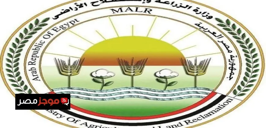 غارات جوية إسرائيلية تستهدف قرى وبلدات جنوب لبنان