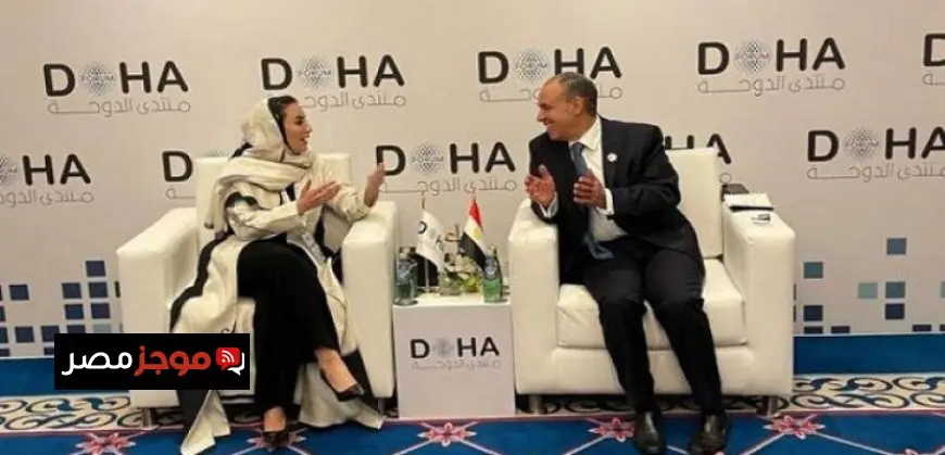 وزير الخارجية المصري يؤكد أهمية تعزيز التحول الرقمي المسئول وتطوير سياسات الذكاء الاصطناعي