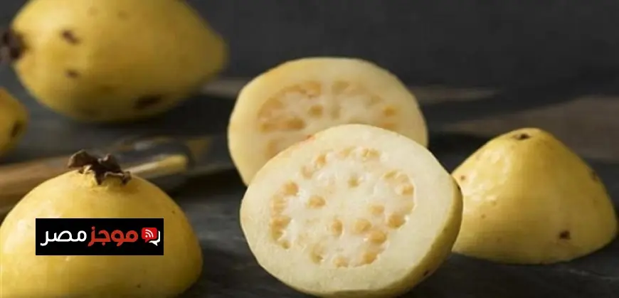 مؤشرات البورصة تسجل ارتفاعًا جماعيًا عند نهاية جلسة التداول