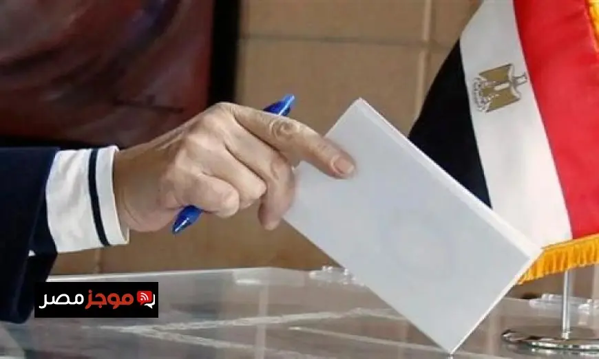 المنظمة المصرية الألمانية تكشف عن توافد كبير على المرحلة الثانية من انتخابات النواب