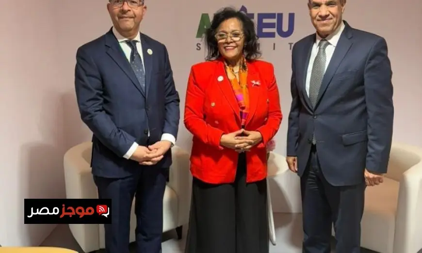 وزير الخارجية المصري يعلن عن رغبة مصر في تعزيز الشراكة مع وكالة النيباد