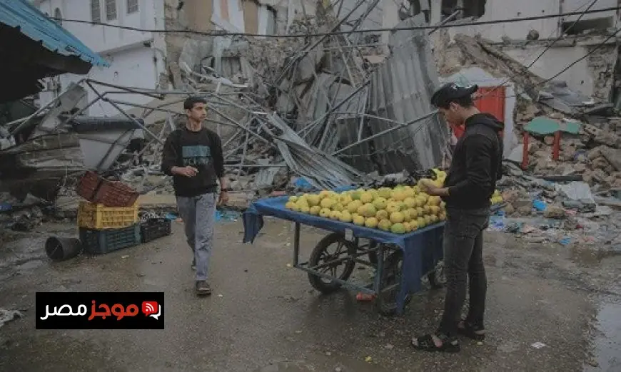 الأونكتاد تكشف عن انهيار اقتصادي غير مسبوق في فلسطين نتيجة حرب غزة والقيود المفروضة