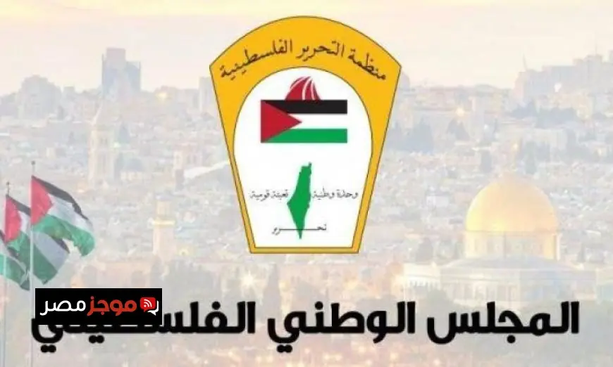 التضامن الفعلي مع فلسطين يتطلب اتخاذ إجراءات لحماية شعبها وفقا للوطني الفلسطيني