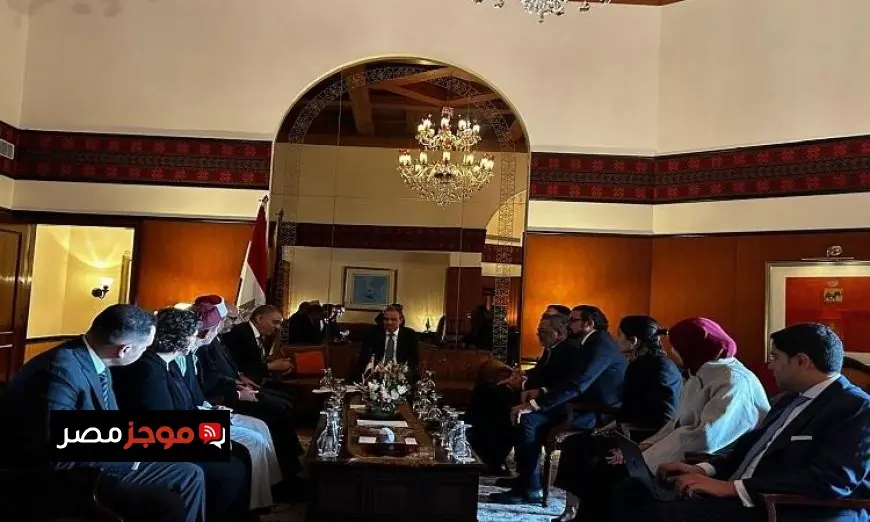 عبد العاطى يؤكد اهتمام الدولة المصرية الكبير ودعمها للجاليات المصرية في الخارج