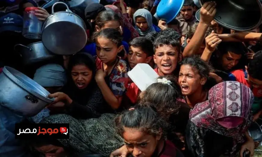 إيران وتركيا تتحدان لإدانة الجرائم الإسرائيلية ضد المدنيين في غزة