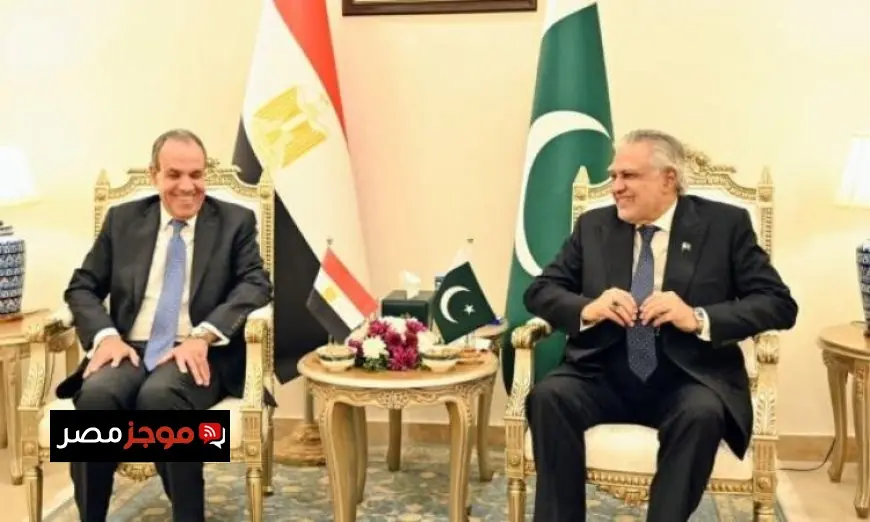 الخارجية المصرية تؤكد أهمية تعزيز دور الحوار المؤسسي مع باكستان من خلال تفعيل دورية الاجتماعات