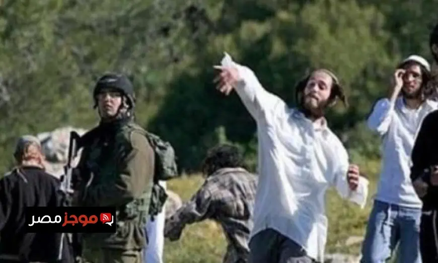 الكنيسة القبطية تبرز ضرورة تضامن المجتمع الدولي لوقف الانتهاكات الإسرائيلية