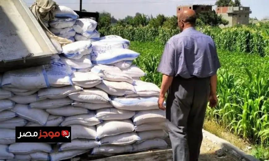 تحذيرات من العلوم الصحية غياب المراقبين الصحيين يعرض منظومة الغذاء للخطر