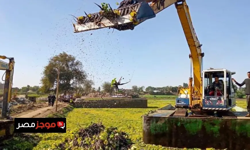 إزالة طريق مخالف بطول 500 متر بحوض فرع رشيد المائي في المنوفية