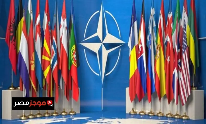 أمين عام الناتو يشيد بالجهود الأمريكية لإنهاء النزاع في أوكرانيا