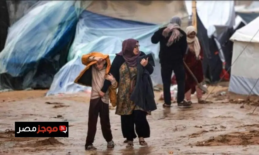 سفير مصر في فيينا يعبر عن تأييد بلاده لحقوق الشعب الفلسطيني المشروعة