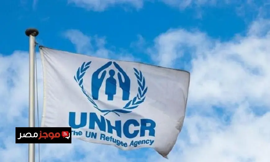 مفوضية اللاجئين تحذر من خطر نقص التمويل الأممي على برامج الإيواء والمساعدات الشتوية