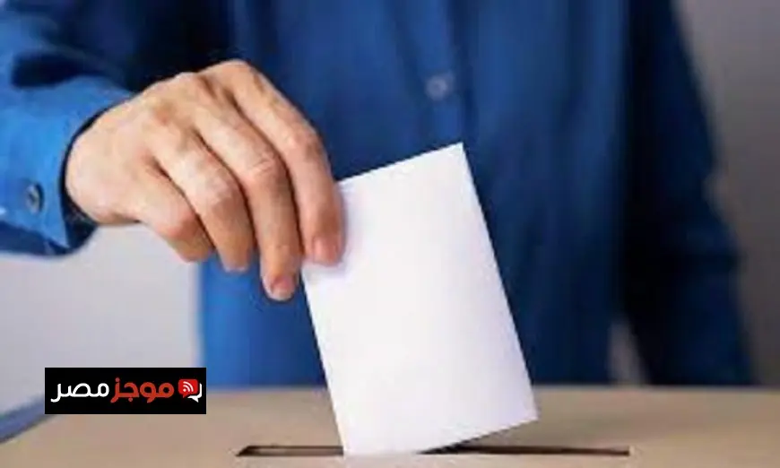 تصويت تاريخي في 19 دائرة ملغاة بانتخابات مجلس النواب 2025