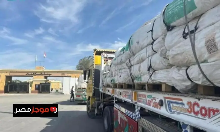مساعدات سعودية تعبر منفذ رفح البري إلى غزة بالتنسيق مع الهلال الأحمر المصري