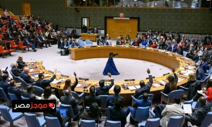 مجلس الأمن ولجنة بناء السلام يتناولان تعزيز مشاركة الشباب في السلم والأمن الدولي