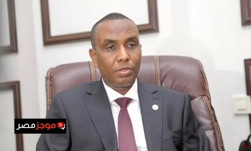 رئيس وزراء الصومال يعبر عن تقديره لعلاقات الصداقة التاريخية مع مصر