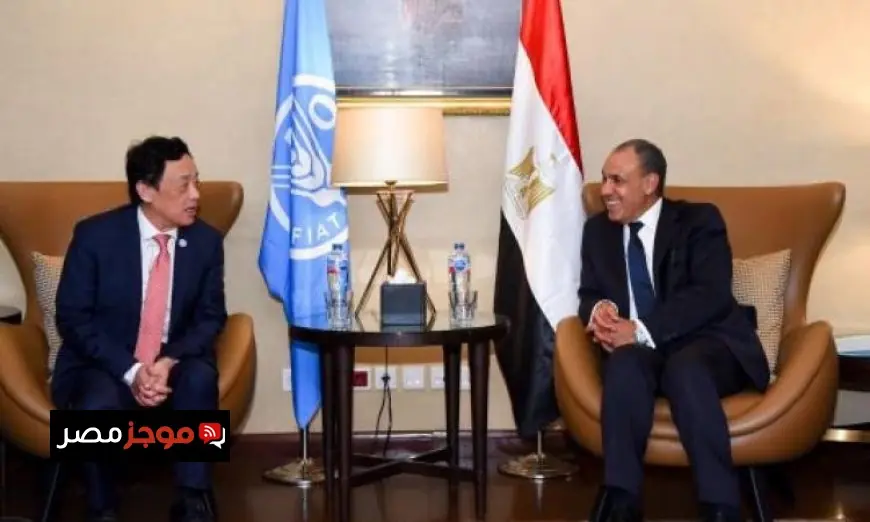 وزير الخارجية يكشف عن خطوات مصر لتعزيز الأمن الغذائي في إطار رؤية مصر 2030