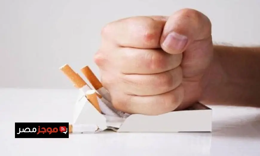 أكثر من 60000 مواطن يستفيدون من 32 عيادة في جميع محافظات الجمهورية