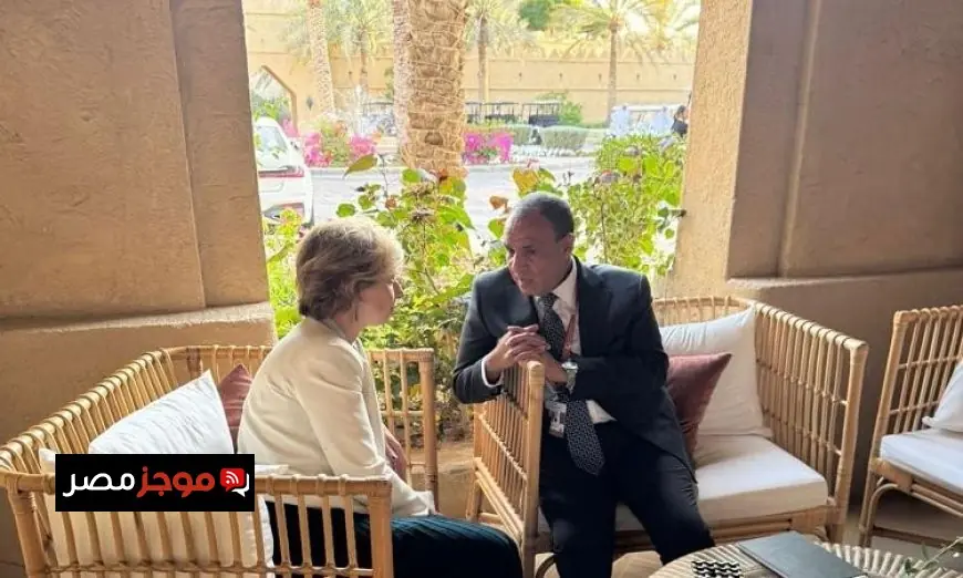 وزير الخارجية يعبر عن تقديره للعلاقات الاستراتيجية المتينة بين مصر وفرنسا