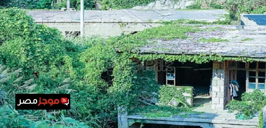 منزل عشبى مبتكر ومنخفض التكلفة يفوز بلقب منزل العام 2025