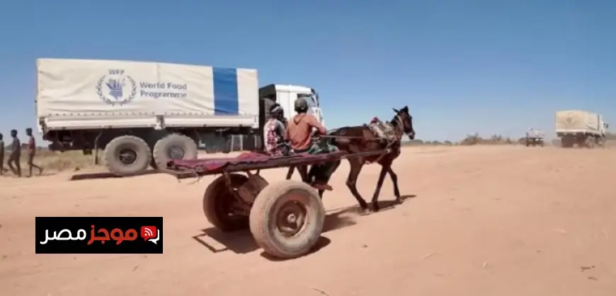 اكتشف فوائد جلد السلمون المذهلة ولماذا ينبغي عليك الاحتفاظ به الآن