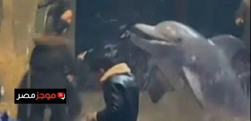 شاب يتعرض لمفاجأة غير متوقعة من حوت أبيض يطفئ سيجارته برش الماء عليه